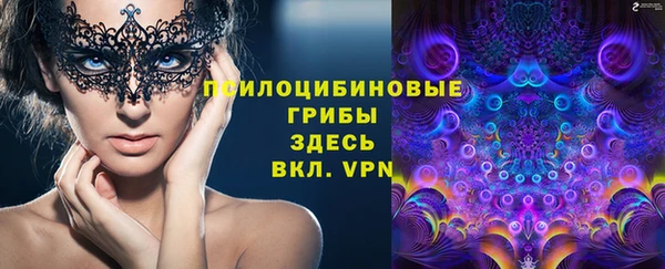 метадон Горнозаводск