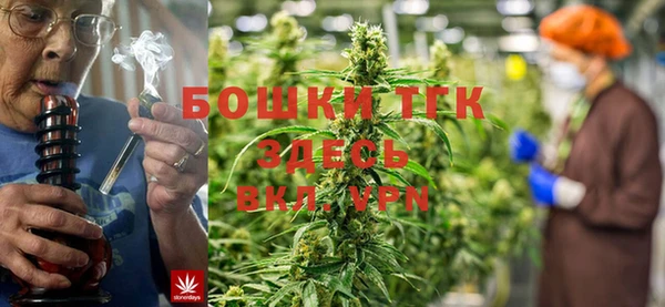 метадон Горнозаводск