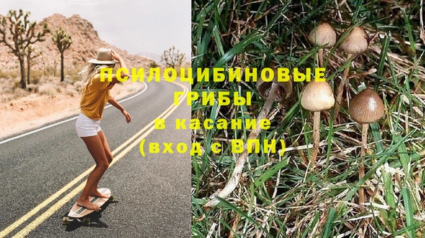 метадон Горнозаводск