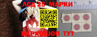 шишки Заводоуковск