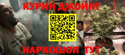 шишки Заводоуковск