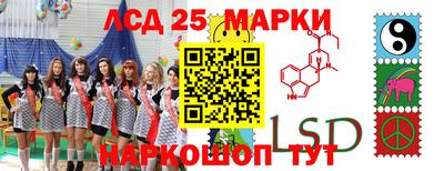 шишки Заводоуковск