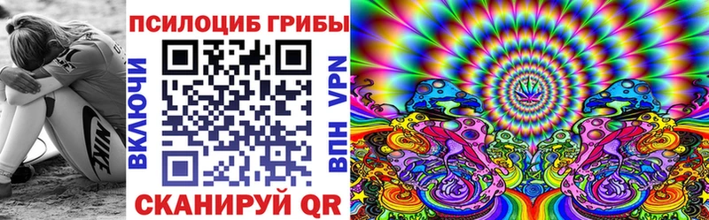купить  цена  Ковров  Галлюциногенные грибы Cubensis 