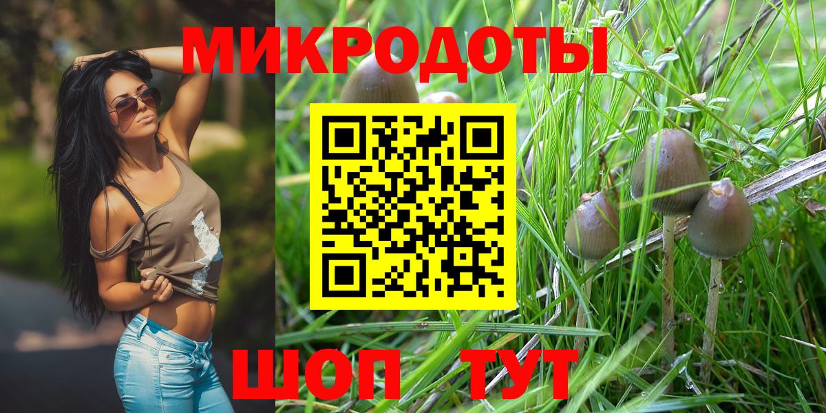 Псилоцибиновые грибы Magic Shrooms  Вход с VPN  Ковров 