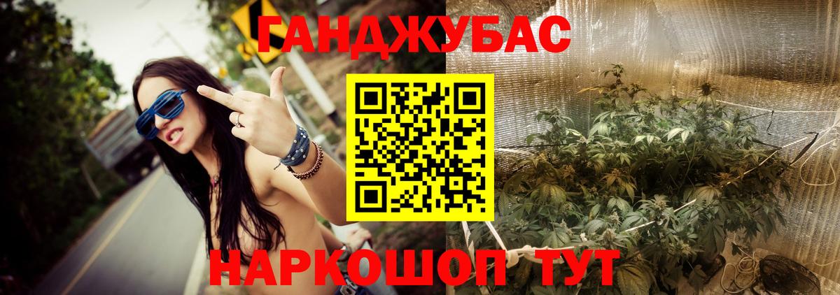 Конопля сатива Ковров